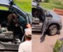 Urso invade caminhonete e surpreende motorista ao ocupar banco do passageiro; veja vídeo