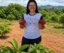  O chocolate que movimenta pessoas, sonhos e a agricultura familiar