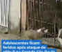 Veja Vídeo – Irmãos de 13 e 16 anos ficam feridos após ataque de pitbull em São Paulo; veja