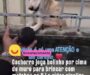 Veja Vídeo – Cachorro joga bolinha por cima do muro para motoboy no RJ e vídeo viraliza